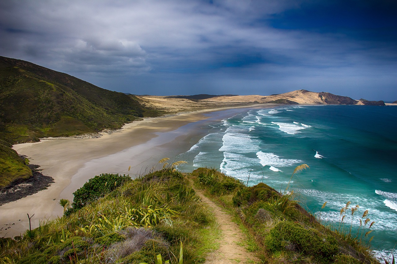 playas increíbles de Nueva Zelanda